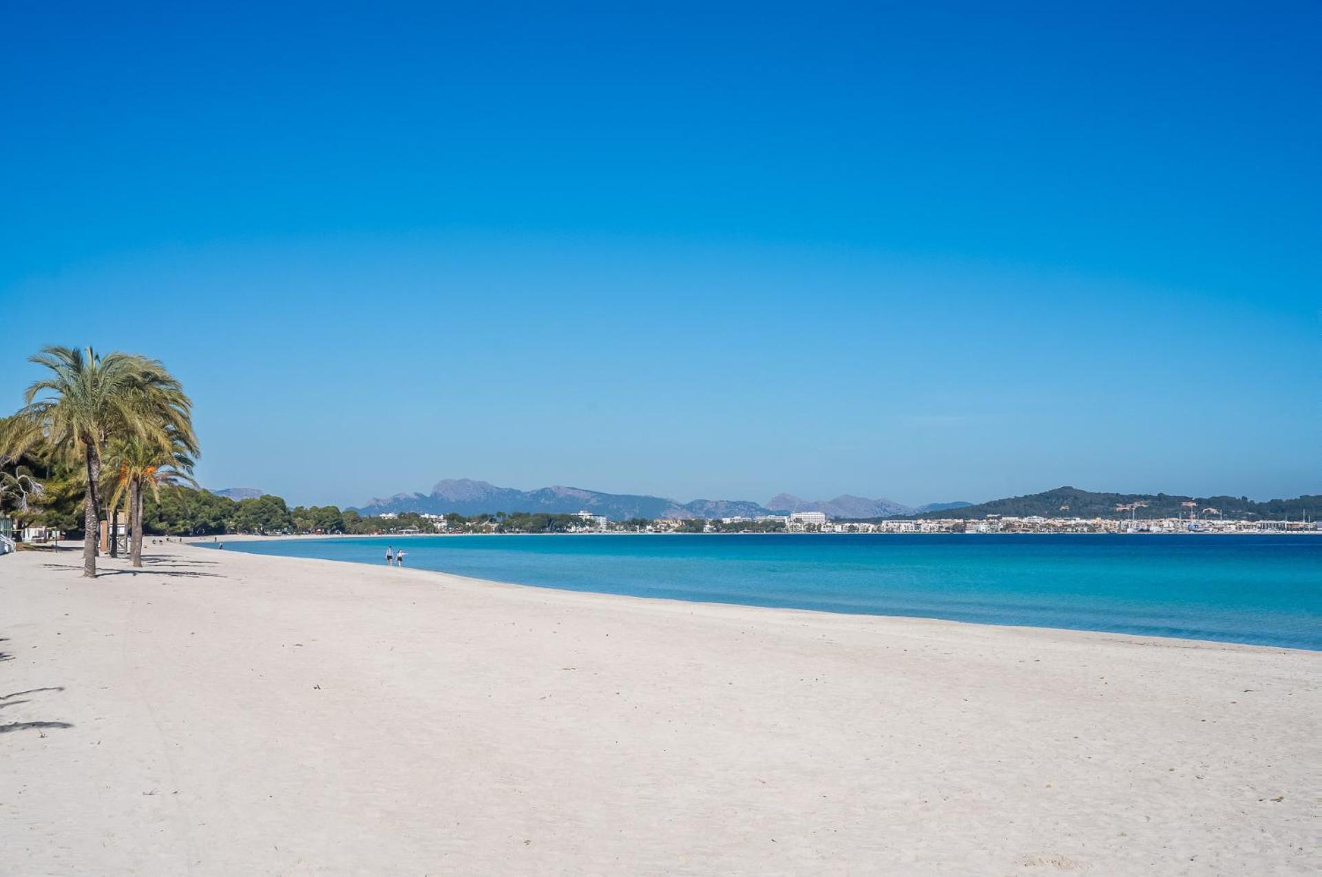 Ideal Property Mallorca - Casa Pinar Αλκούδια Εξωτερικό φωτογραφία