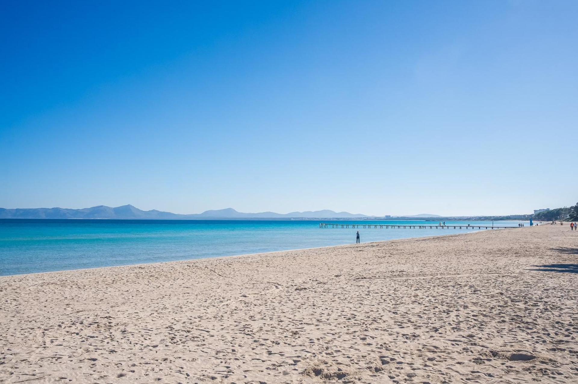 Ideal Property Mallorca - Casa Pinar Αλκούδια Εξωτερικό φωτογραφία