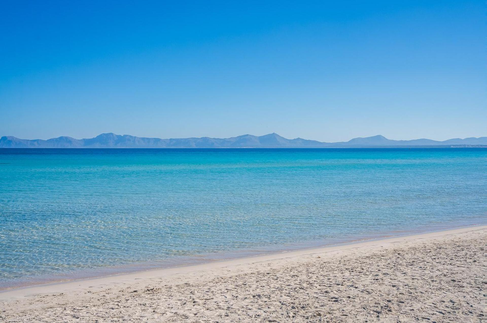 Ideal Property Mallorca - Casa Pinar Αλκούδια Εξωτερικό φωτογραφία